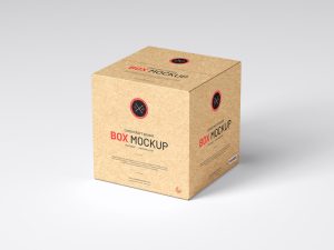 Free Cargo Craft Square Box Mockup PSD