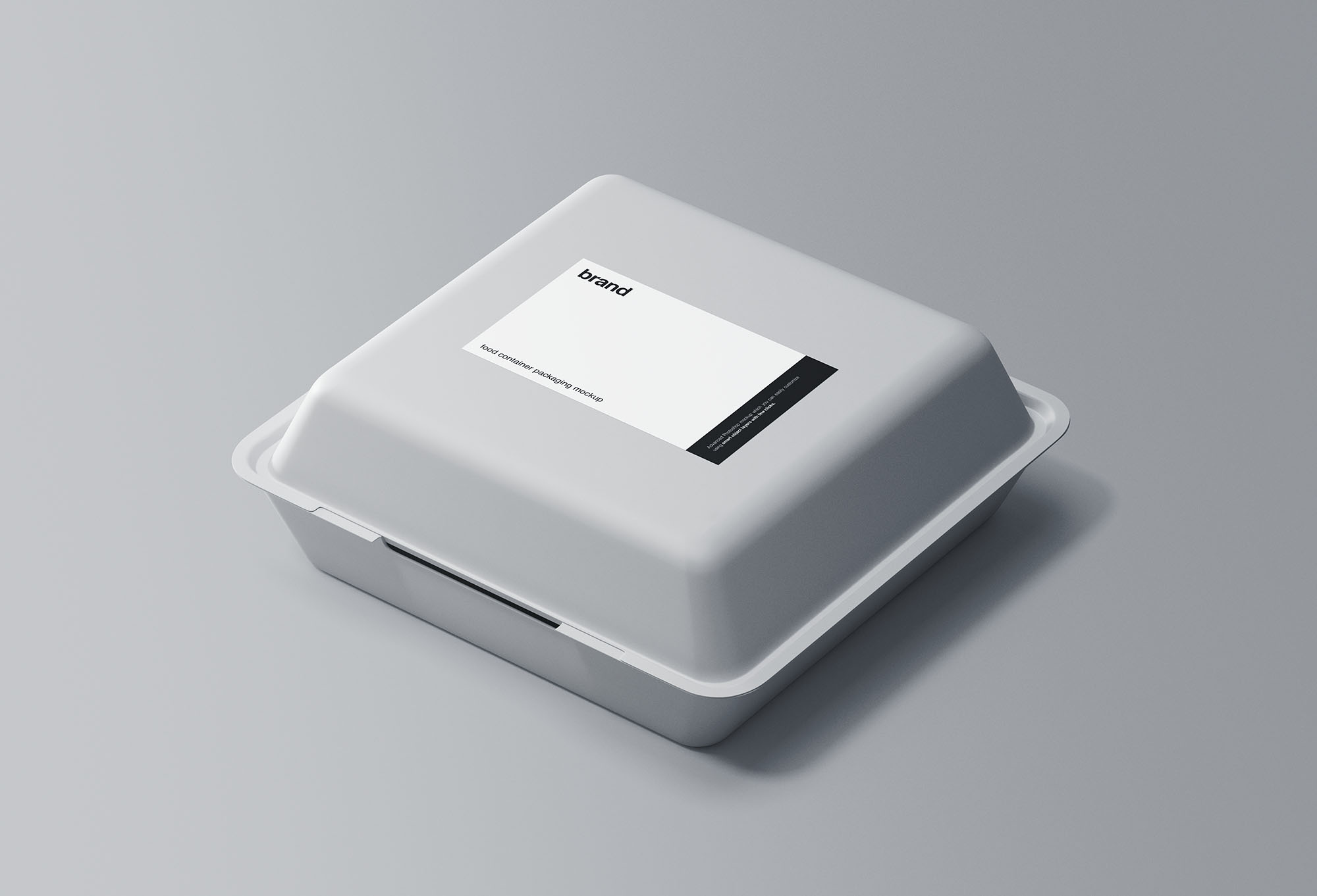 Take Away Plastic Box Food Container Mockup