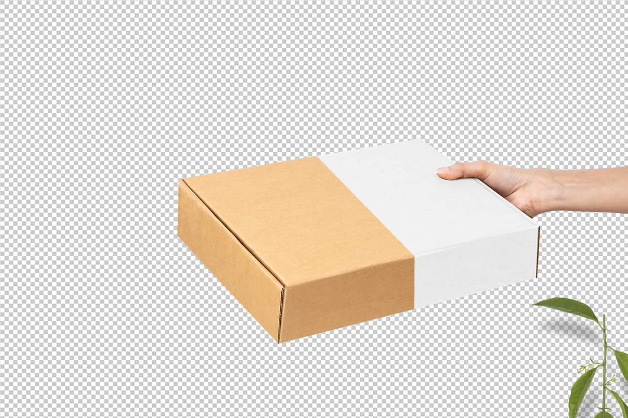 Download Free Hand Holding Mailing Box Mockup Free Package Mockups