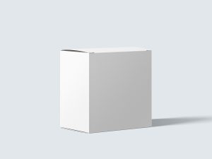 Free White Cardboard Paper Package Box Mockup