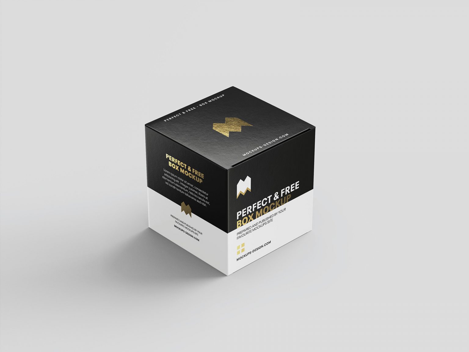 Square box mockup