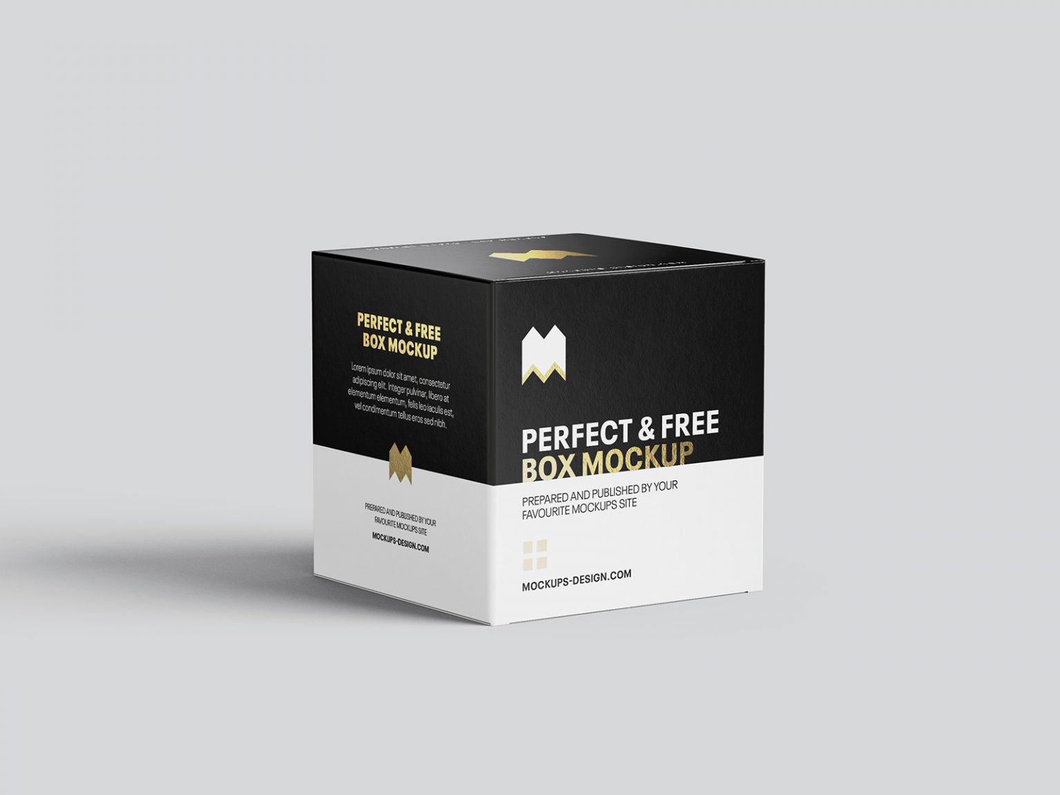 Square box mockup