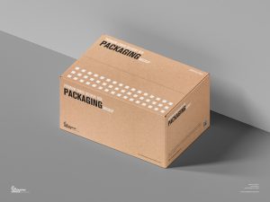 Free Premium Cargo Delivery Box Packaging Mockup