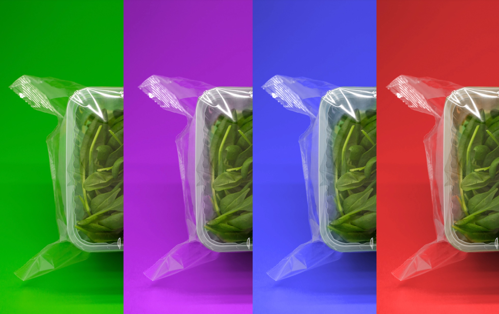 Spinach Package Mockup