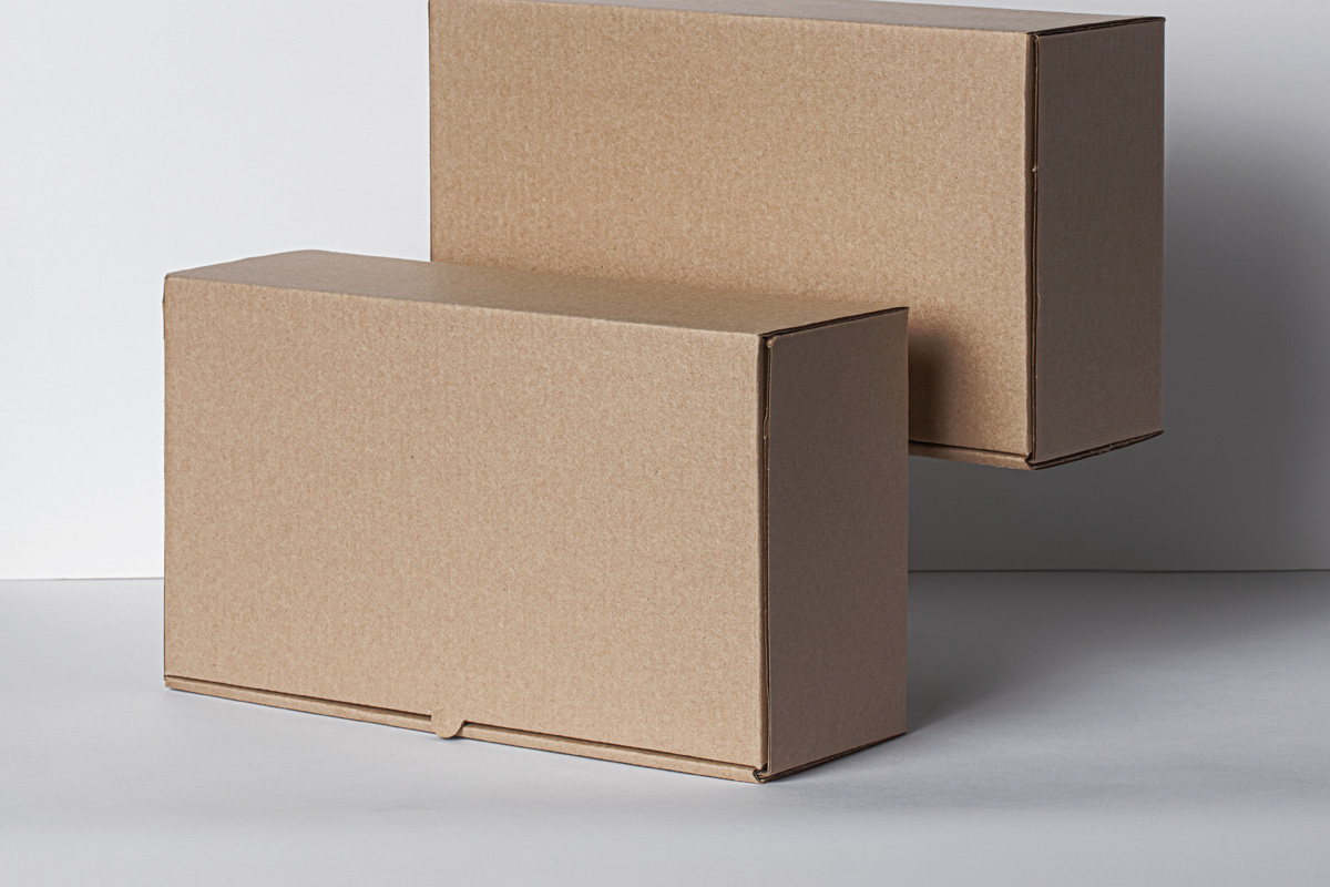 Rectangular Packaging Box Mockup PSD
