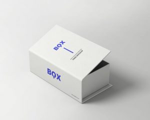 Free Box Packaging Mockup 1