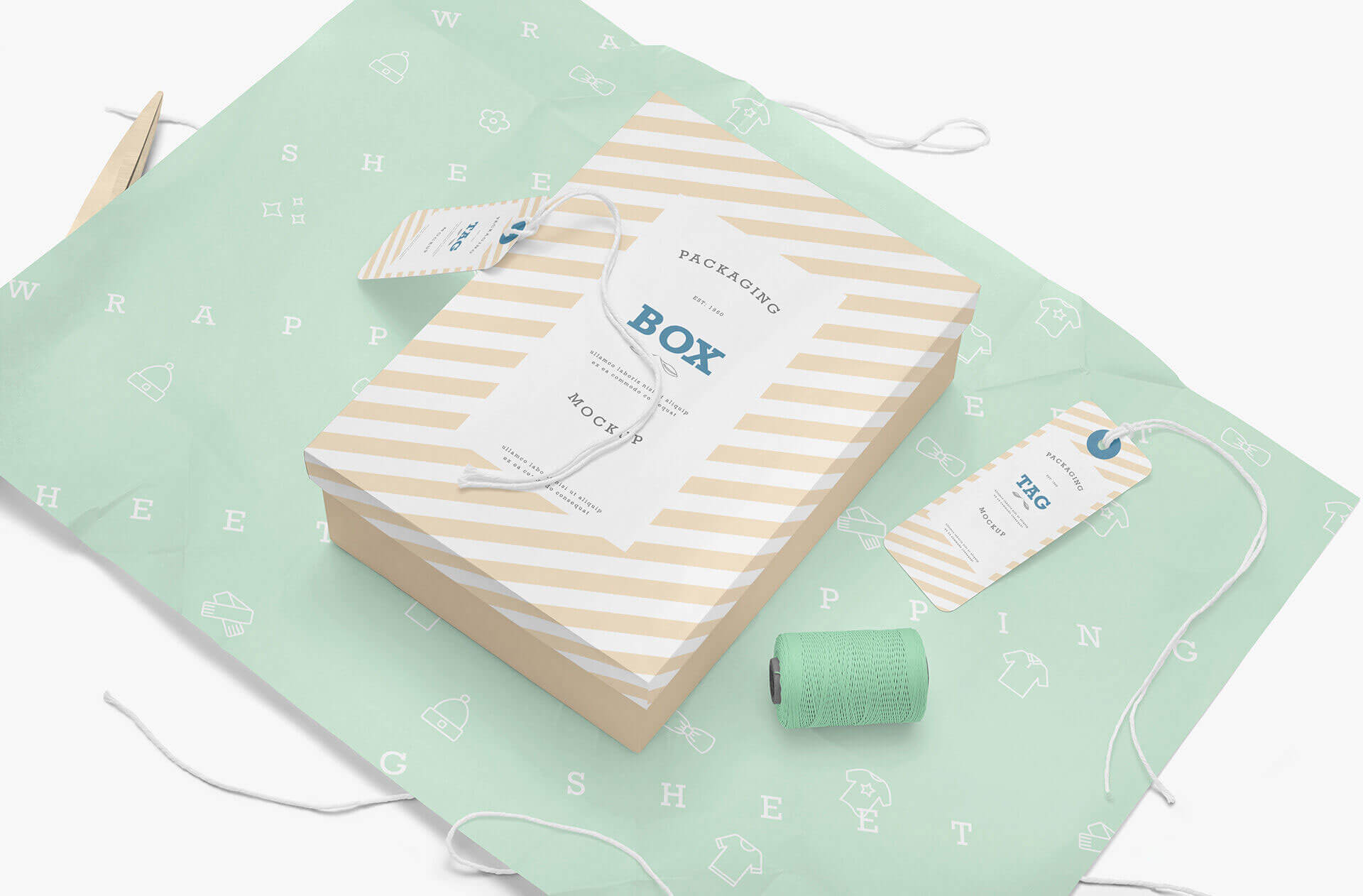 Top Side View of Rectangle Box Packaging and Label Tags Mockup 2