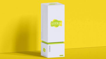 Front View of Standing Sliding Box Mockup