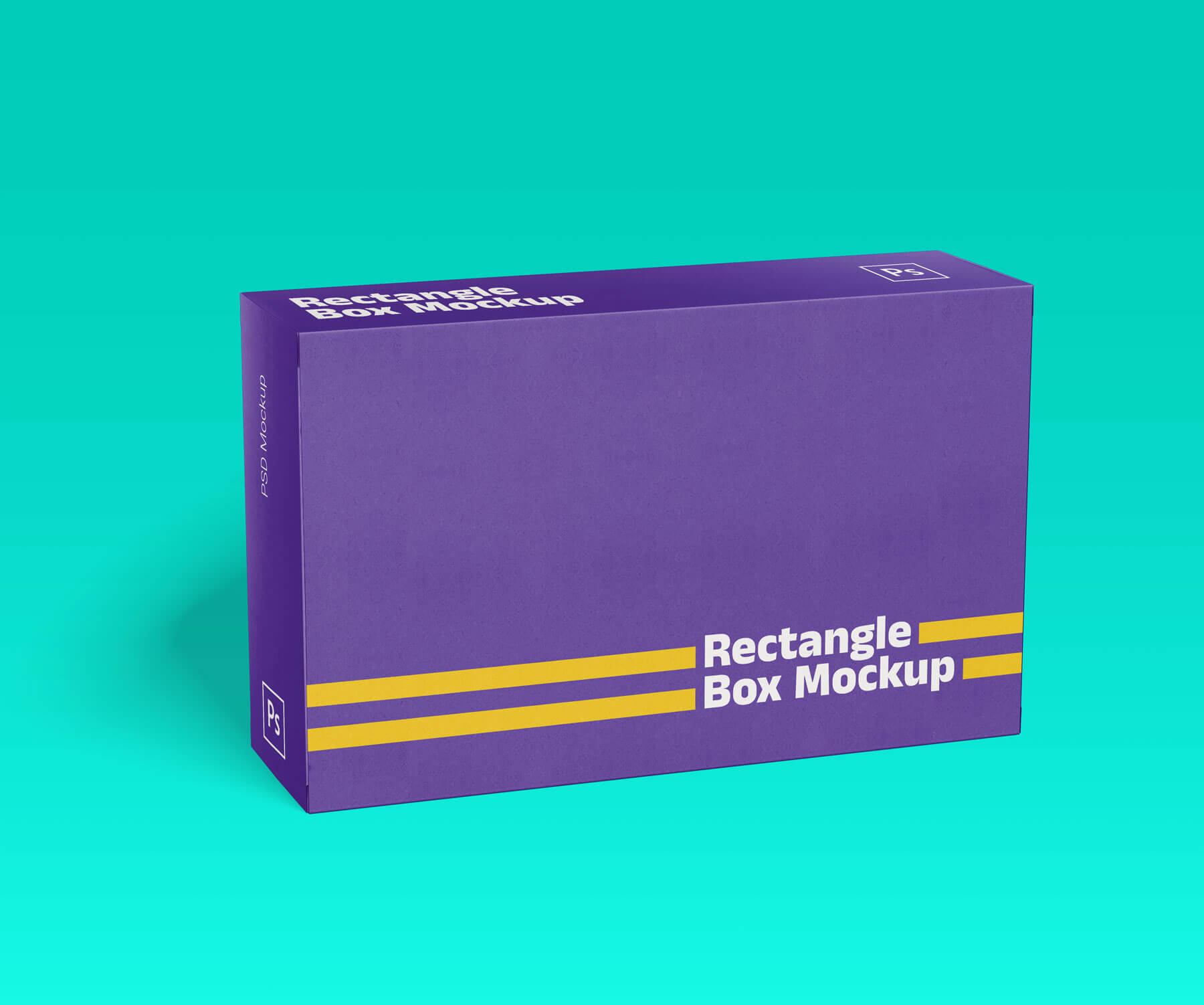 Rectangle Box Free Mockup 02