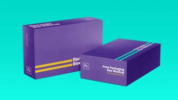 Rectangle Box Free Mockup 03