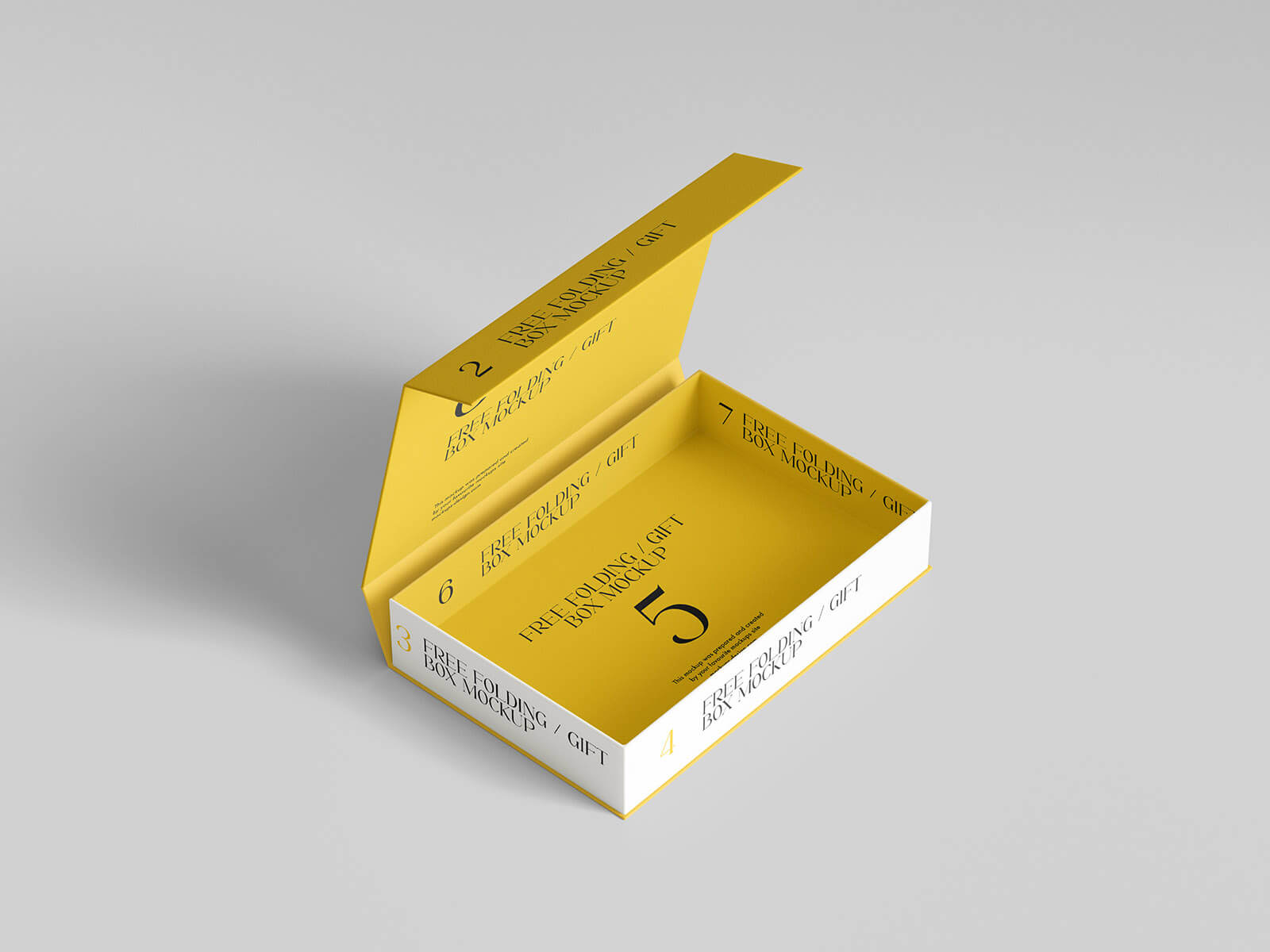 Free Folding Box Mockup 5