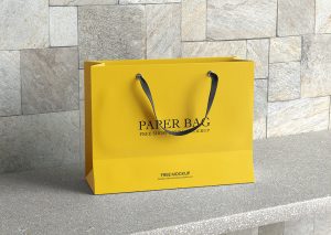 Free Recycled Paper Shopping Bag Mockup1