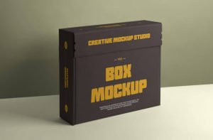 Free Cardboard Carton Box Mockup PSD